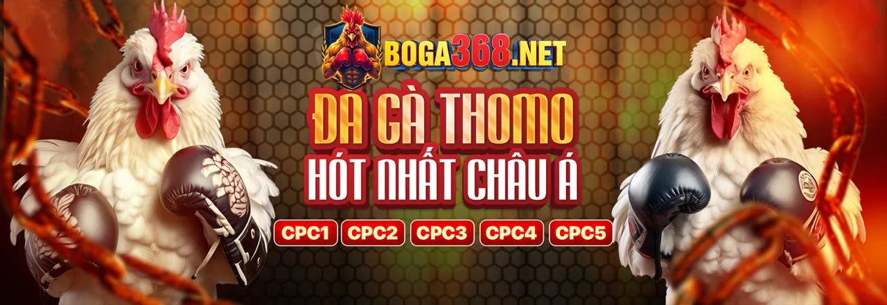Đăng ký VN8 Chính Thức nhận ưu đãi đá gà