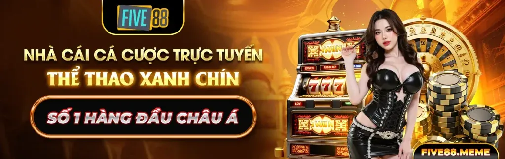 Biểu ngữ cam kết chơi có trách nhiệm của VN8